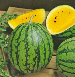 dưa hấu ruột vàng