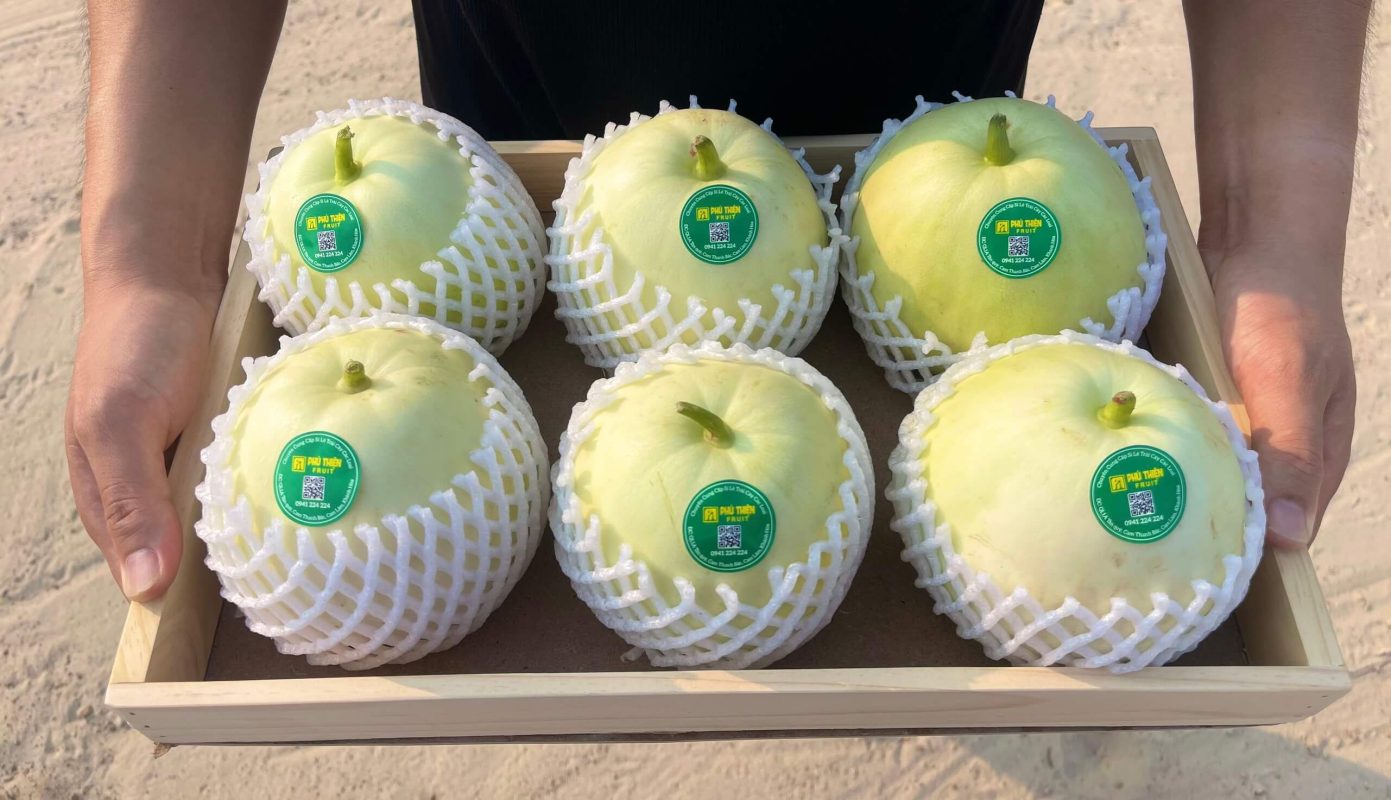 Dưa Lê 1 - Vựa trái cây Phú Thiện
