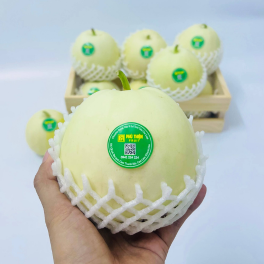 Dưa Lê - Vựa trái cây Phú Thiện 264x264