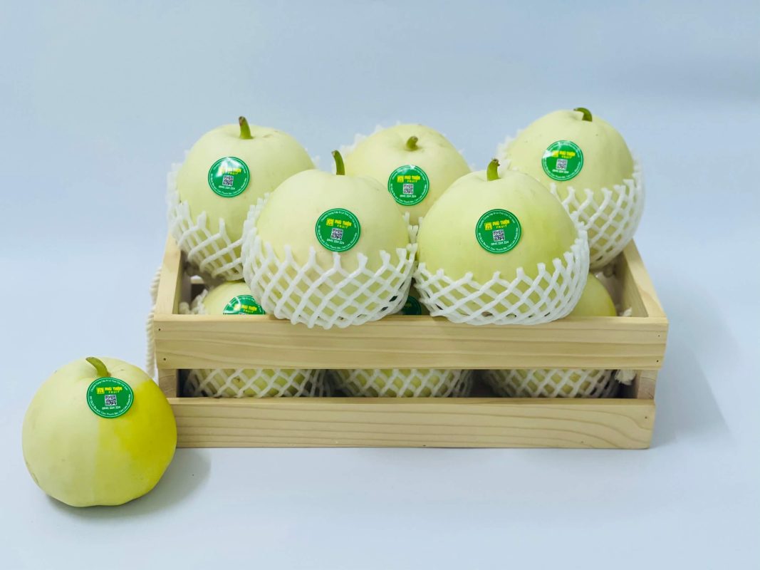 Dưa Lê - Vựa trái cây Phú Thiện