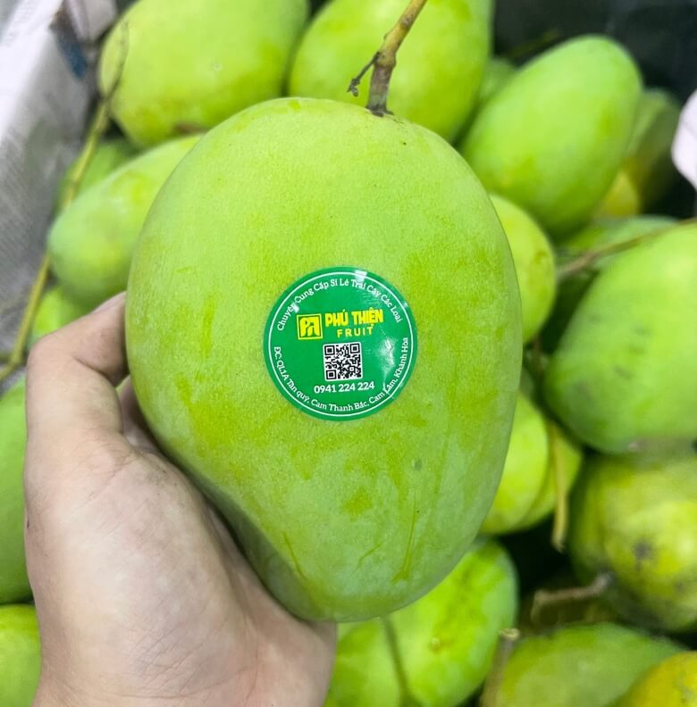 Xoài Canh Nông tại vựa trái cây Phú Thiện
