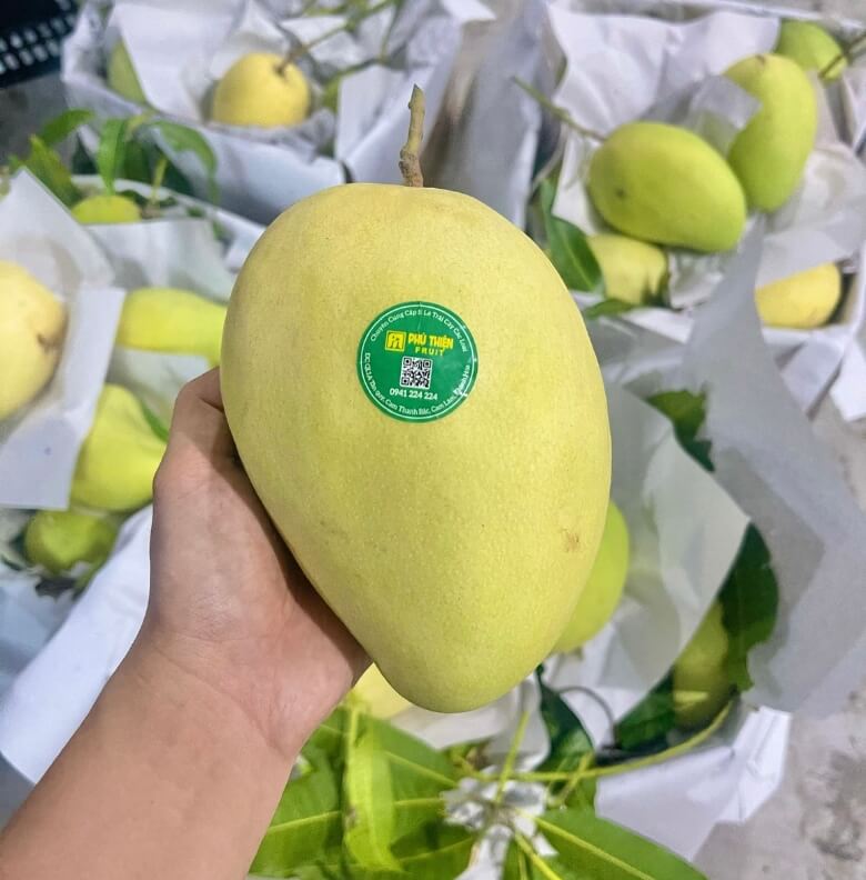 Xoài Tứ Quý